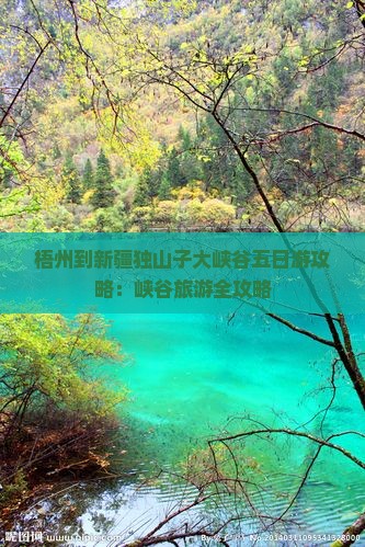 梧州到新疆独山子大峡谷五日游