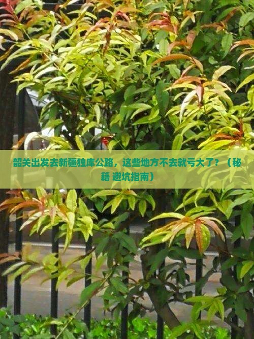 韶关去新疆独库公路必去地