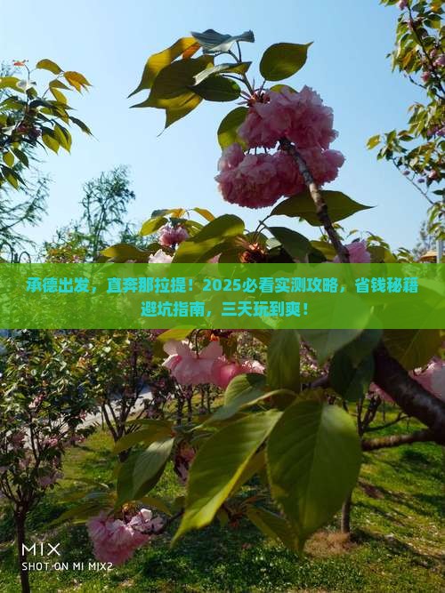 承德去新疆那拉提三日游