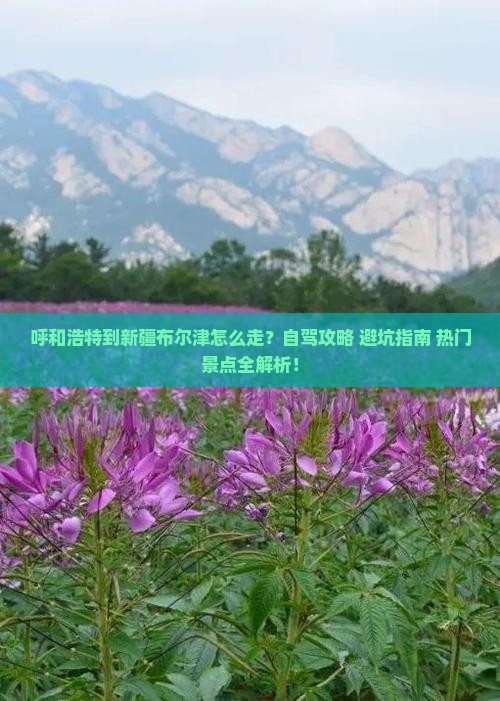 呼和浩特到新疆布尔津攻略