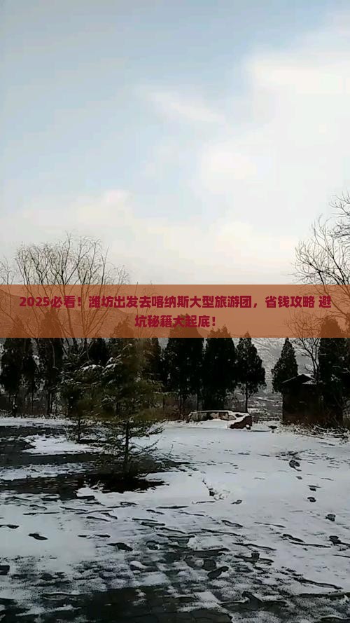 潍坊去新疆喀纳斯大型旅游团