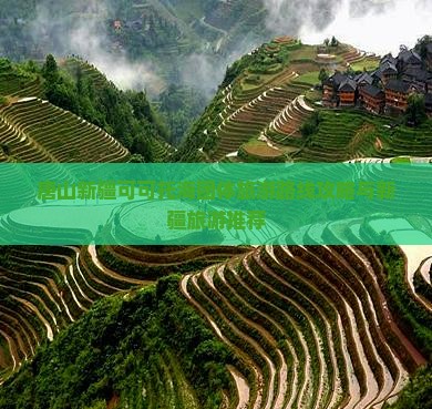 唐山去新疆可可托海团体旅游