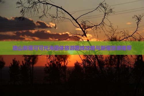 唐山去新疆可可托海团体旅游