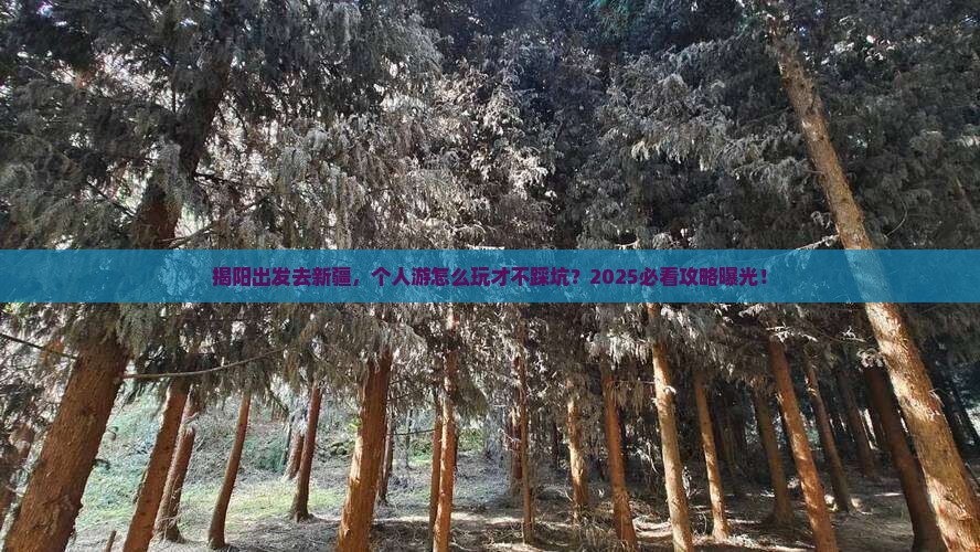 揭阳到新疆个人游