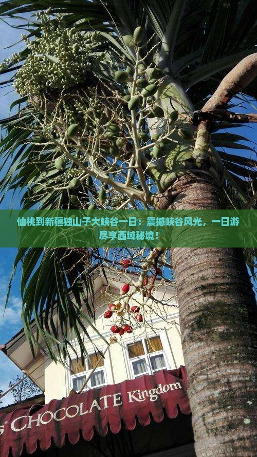 仙桃到新疆独山子大峡谷一日