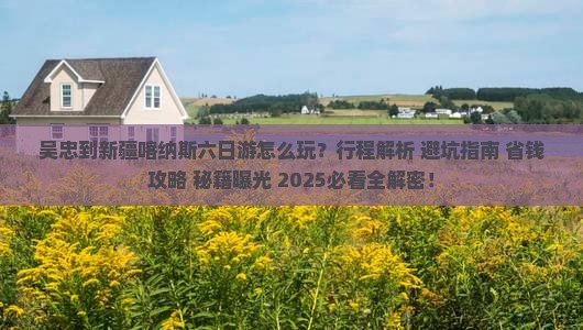 吴忠到新疆喀纳斯六日游