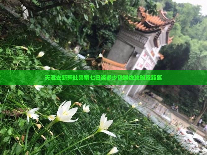 天津去新疆吐鲁番七日游