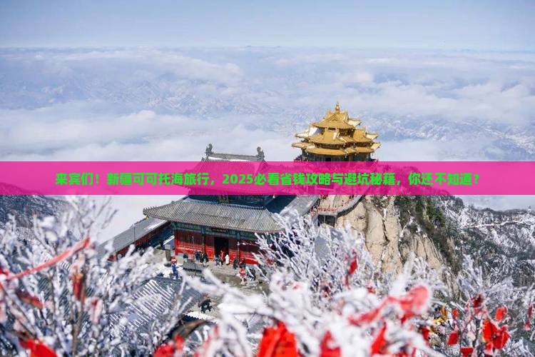 来宾去新疆可可托海旅行社