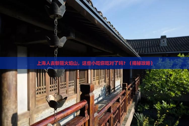 上海去新疆火焰山旅游小吃