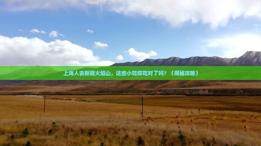 上海去新疆火焰山旅游小吃
