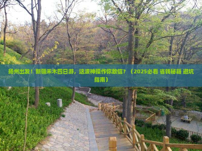 扬州到新疆禾木四日游