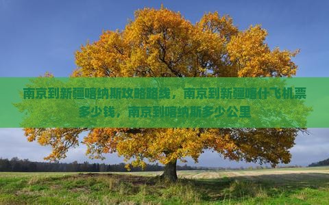 南京到新疆喀纳斯攻略