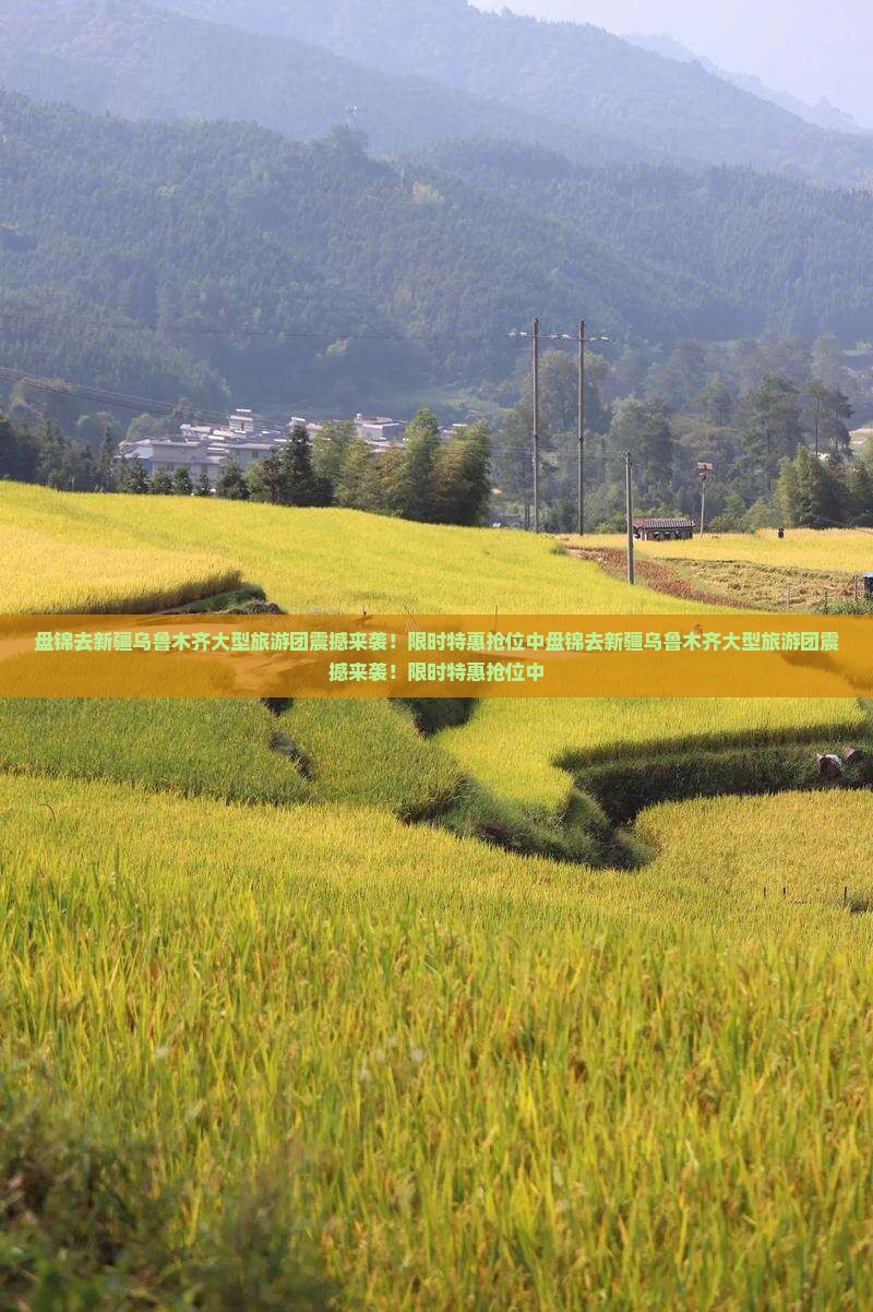 盘锦去新疆乌鲁木齐大型旅游团