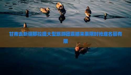 甘南去新疆那拉提大型旅游团 甘南去新疆那拉提大型旅游团
