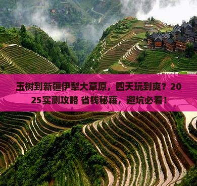 玉树去新疆伊犁大草原四日游 玉树去新疆伊犁大草原四日游