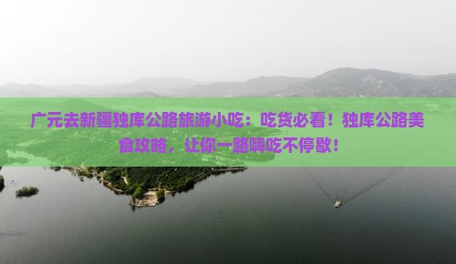 广元去新疆独库公路旅游小吃