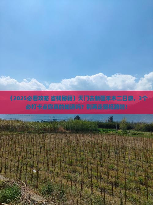 天门去新疆禾木二日游