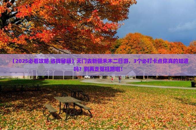 天门去新疆禾木二日游