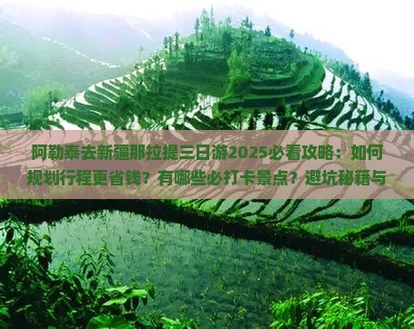 阿勒泰去新疆那拉提三日游