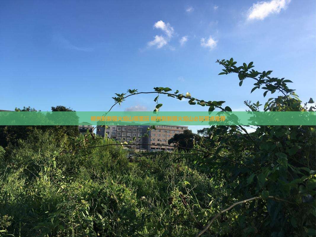 郴州到新疆火焰山哪里玩