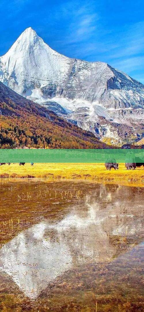 永新去新疆天山天池旅游
