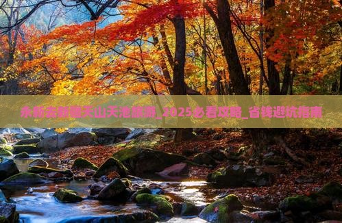 永新去新疆天山天池旅游