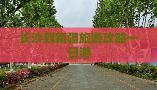 长沙到新疆一日