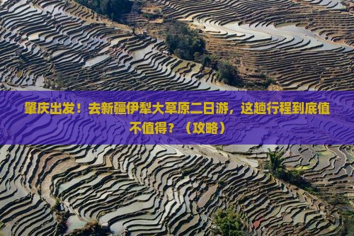 肇庆去新疆伊犁大草原二日游