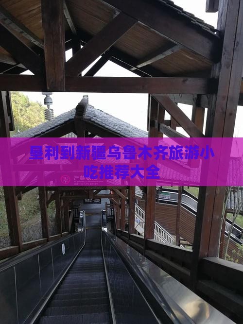 垦利到新疆乌鲁木齐旅游小吃