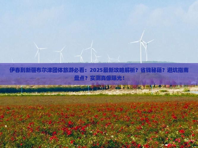 伊春到新疆布尔津团体旅游
