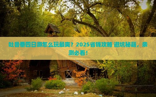 漯河去新疆吐鲁番四日游