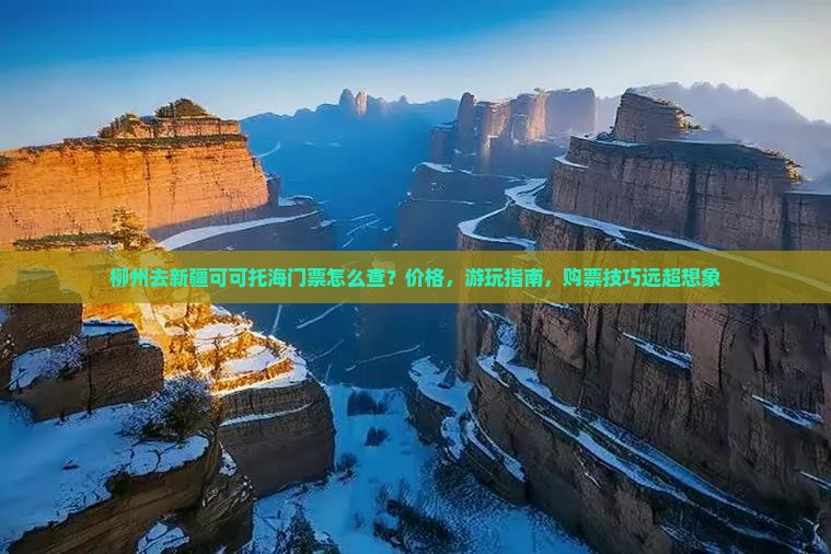 柳州去新疆可可托海门票