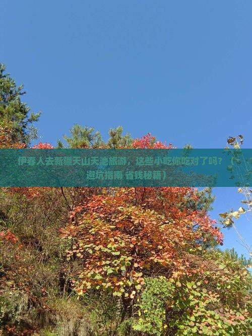 伊春去新疆天山天池旅游小吃