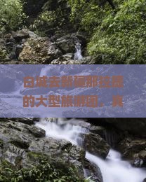白城去新疆那拉提大型旅游团