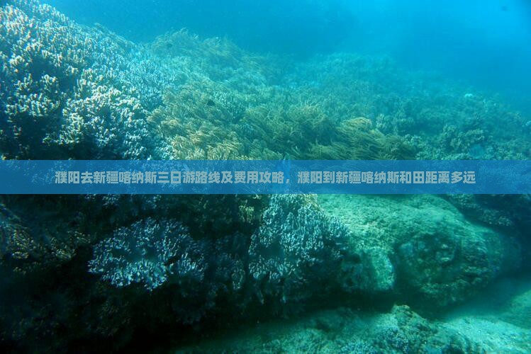 濮阳去新疆喀纳斯三日游
