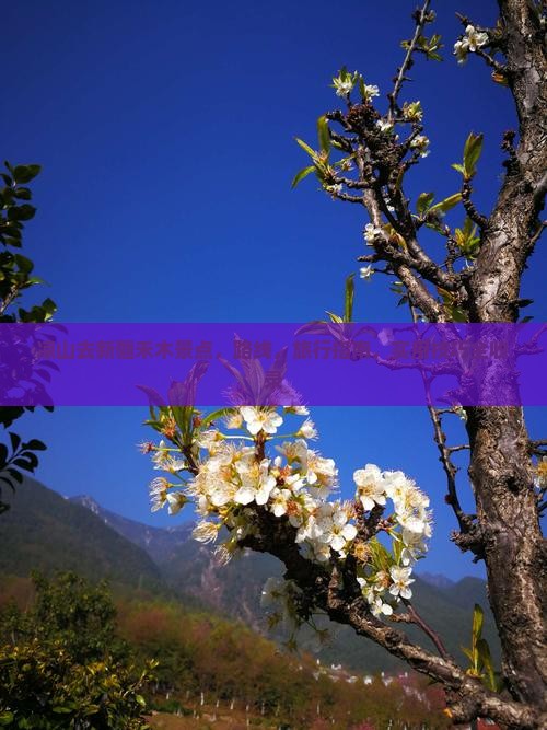凉山去新疆禾木景点