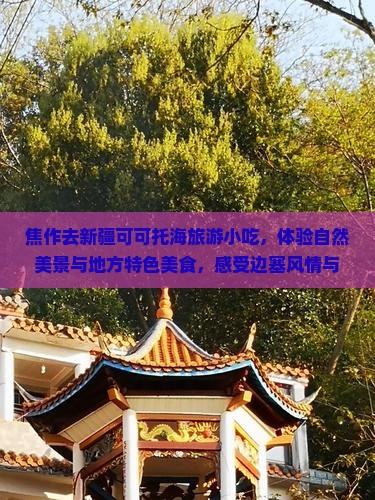 焦作去新疆可可托海旅游小吃