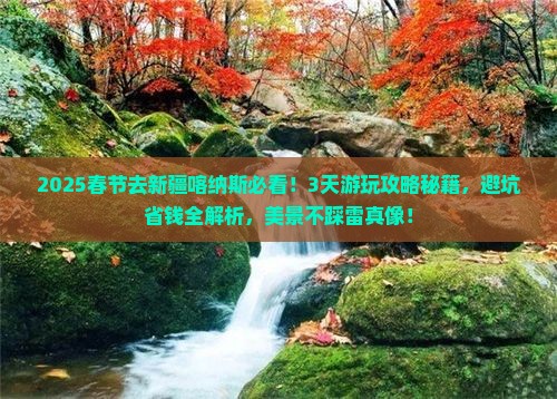 春节到新疆喀纳斯景点
