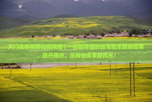 天门去新疆那拉提攻略