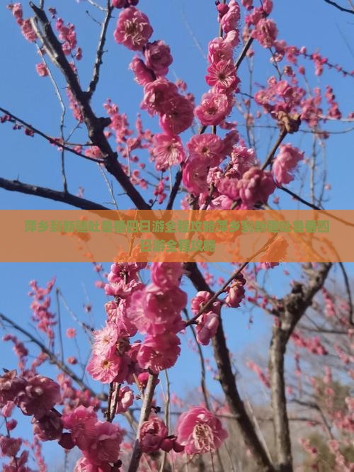 萍乡到新疆吐鲁番四日游