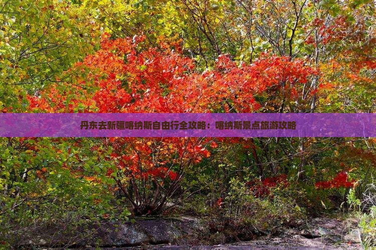 丹东去新疆喀纳斯自由行