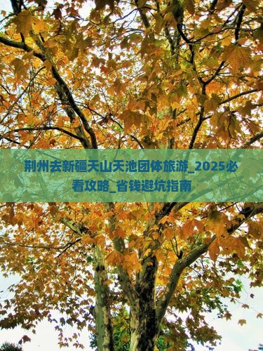 荆州去新疆天山天池团体旅游