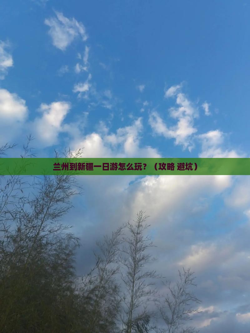 兰州到新疆一日