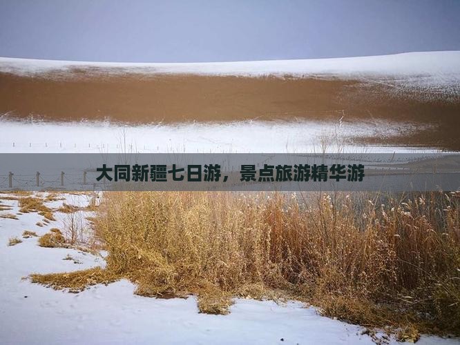 大同去新疆七日游