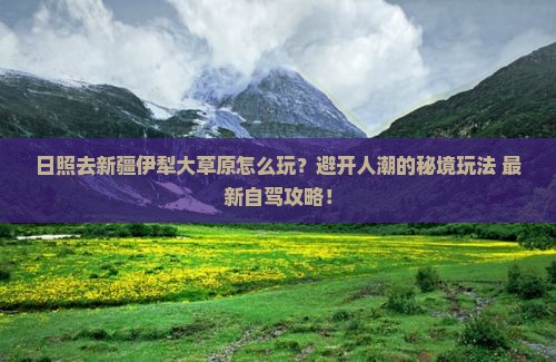 日照去新疆伊犁大草原哪里玩