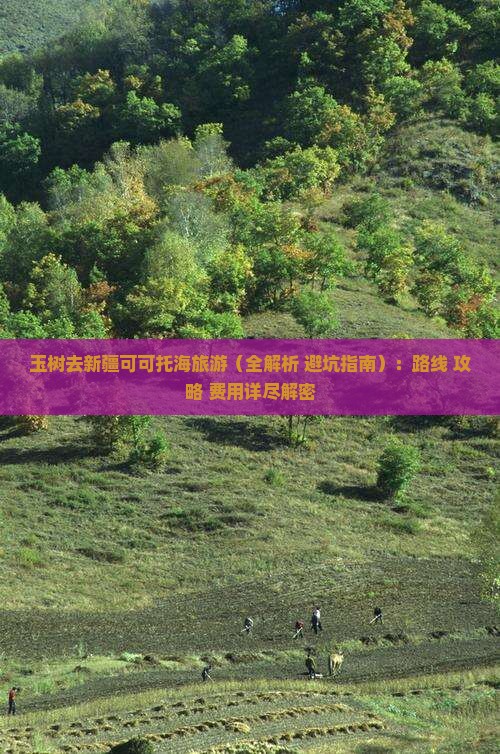 玉树去新疆可可托海旅游