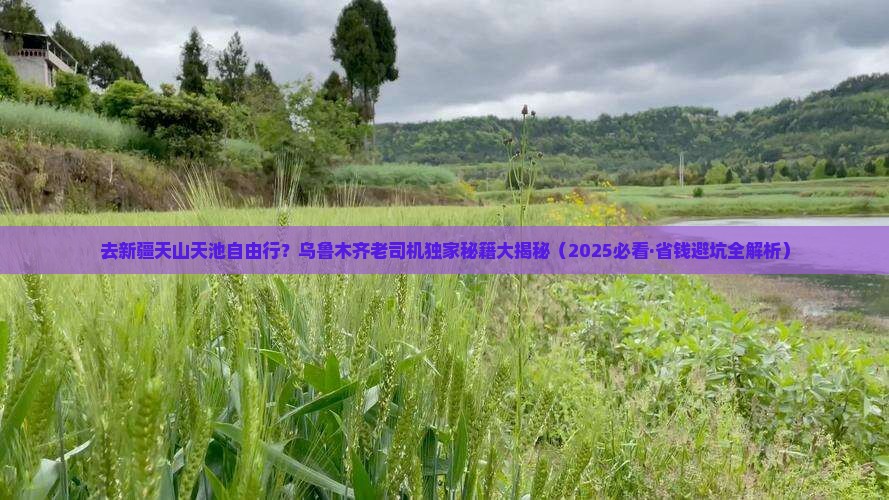 乌鲁木齐去新疆天山天池自由行 乌鲁木齐去新疆天山天池自由行