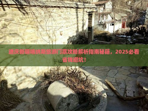 迪庆去新疆喀纳斯门票