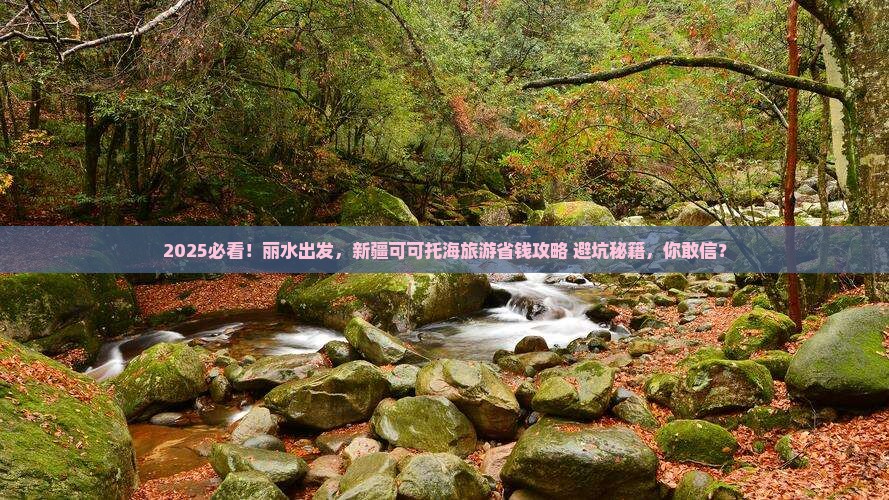 丽水到新疆可可托海旅游