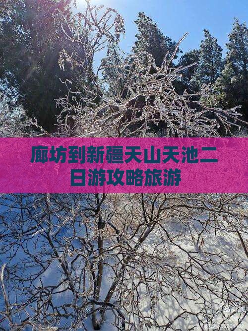 廊坊到新疆天山天池二日游